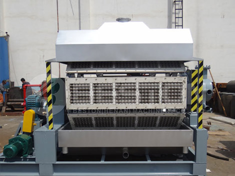 apple tray making machine price