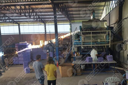 Beston Apple Tray Making Machine Assembled in Brazil