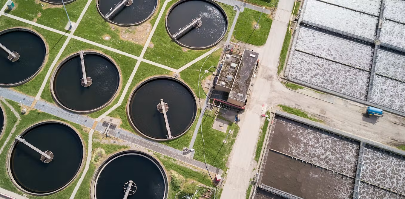 Sewage Sludge